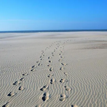 Chic Flat Near Beach, Cleaning Included Ostende