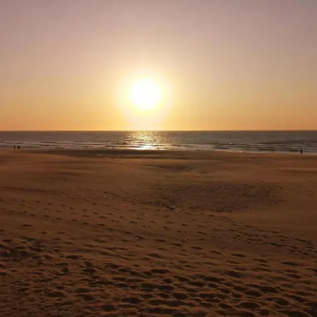 Chic Flat Near Beach, Cleaning Included Apartmán Ostende